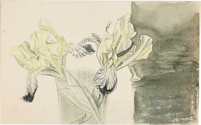 Митрохин Дмитрий Исидорович. Ирисы в вазе